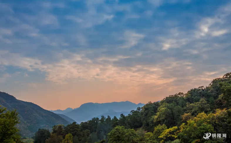 山不过来我就过去心悦智慧书