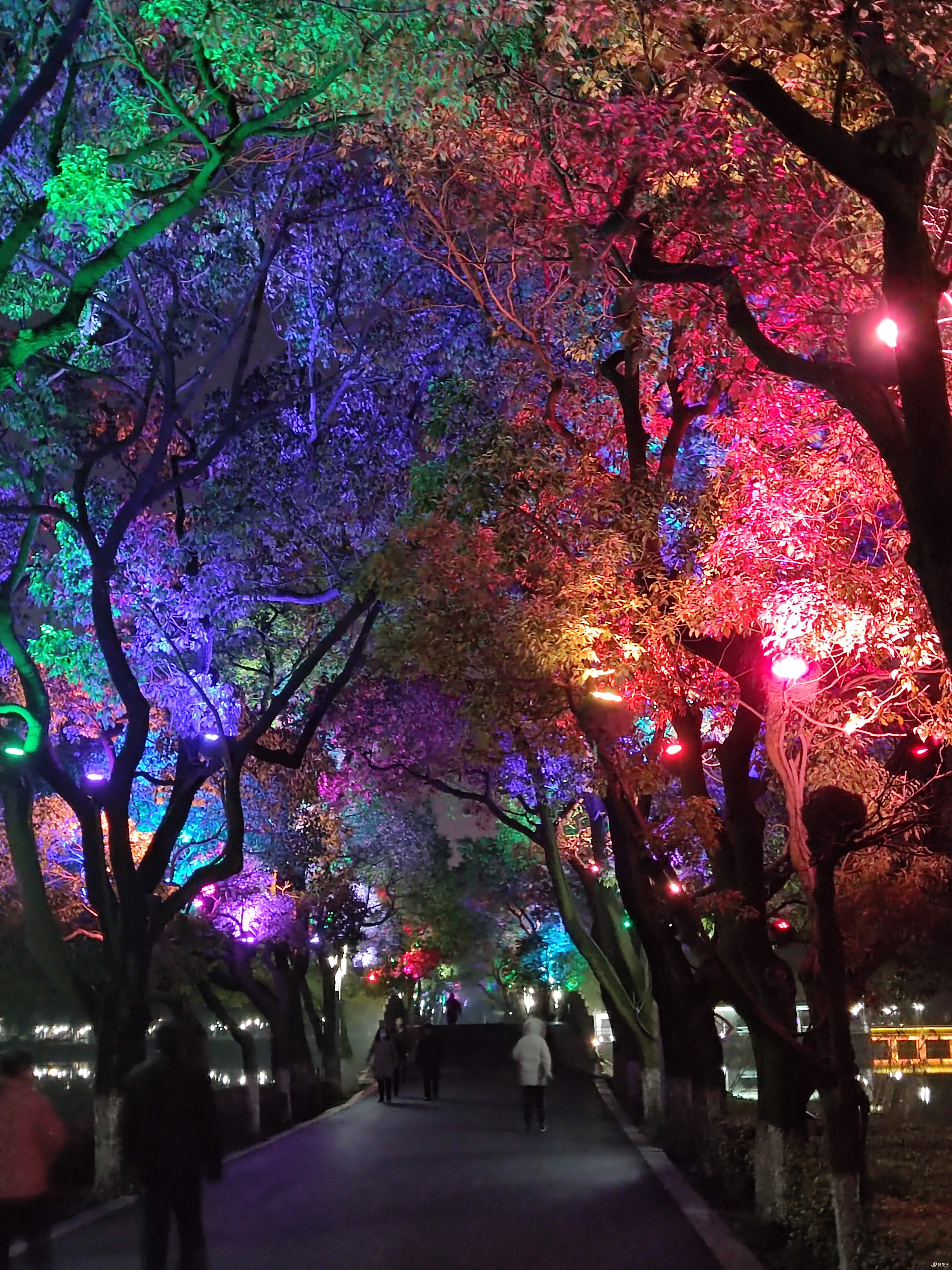 最美的铜陵一一天井湖夜景