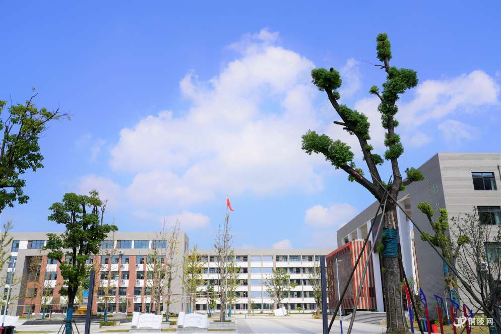 打卡铜陵中学新校区,一起去看看吧!