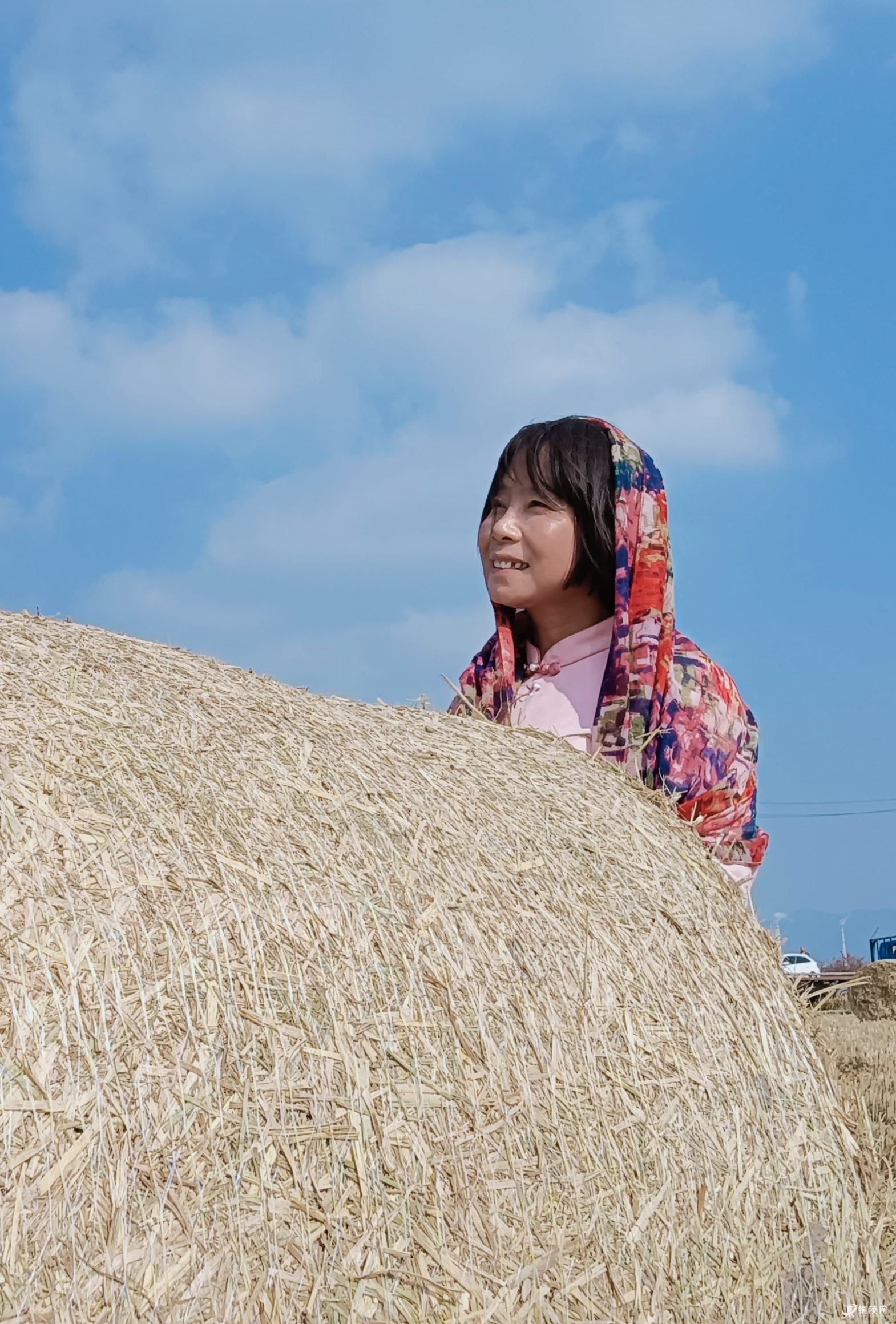 来普济圩农场打卡,看机械化收割粮食,对比过去,这丰收的景象让人感慨
