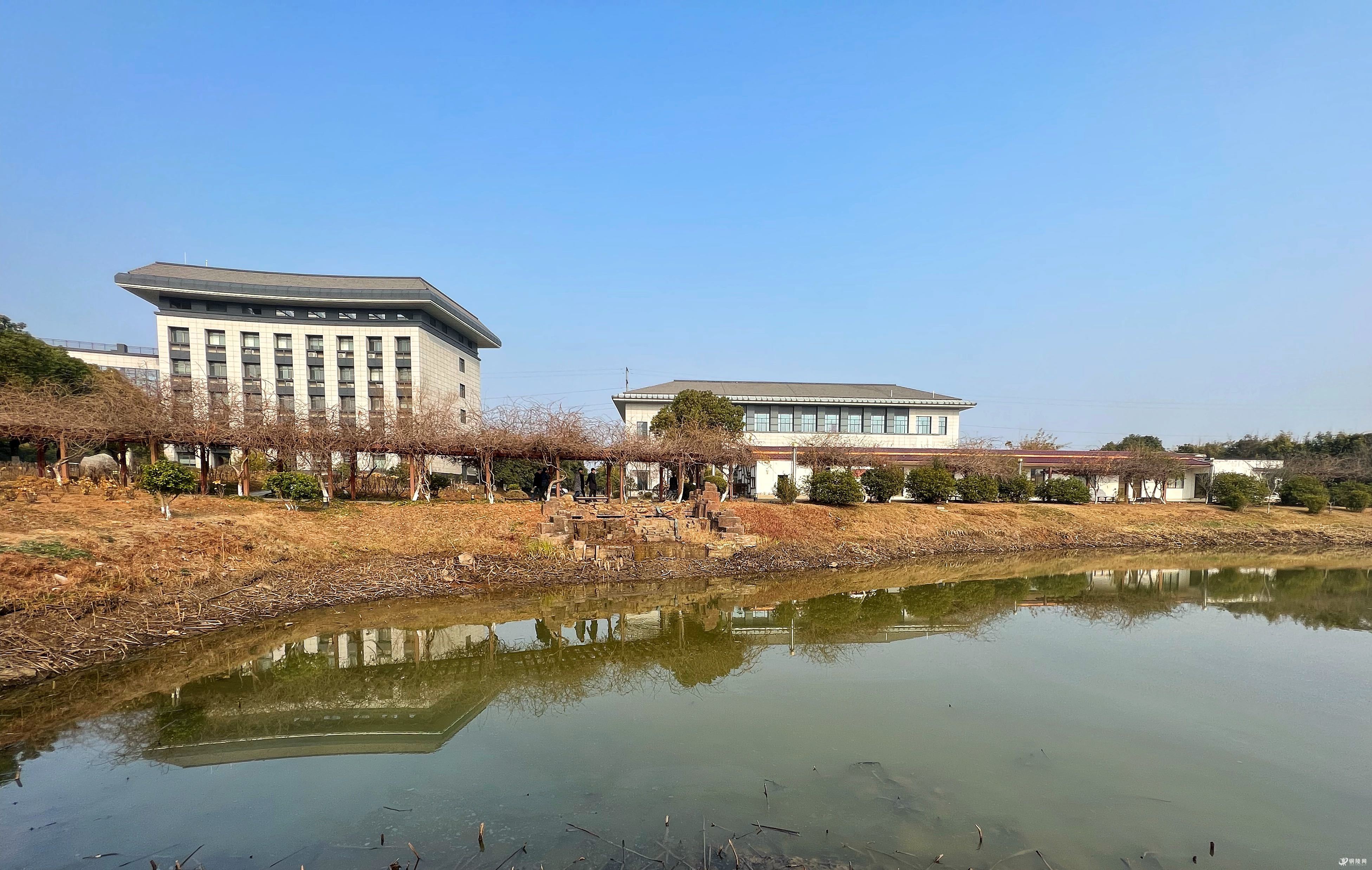 环境优美·市委党校 - 百姓生活 - 铜陵网 - powered by discuz!